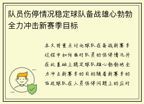 队员伤停情况稳定球队备战雄心勃勃全力冲击新赛季目标